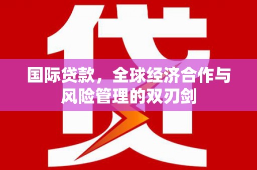龟山国际贷款，全球经济合作与风险管理的双刃剑