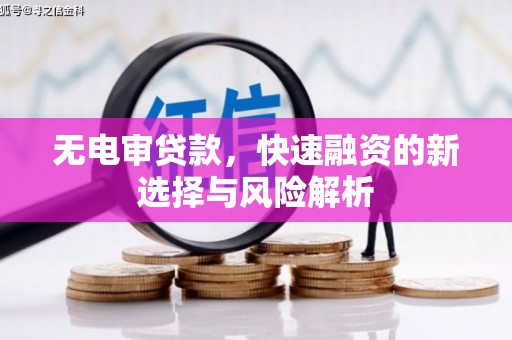 龟山无电审贷款，快速融资的新选择与风险解析