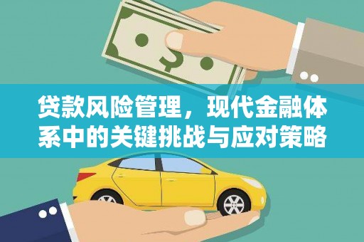 龟山贷款风险管理，现代金融体系中的关键挑战与应对策略