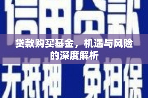龟山贷款购买基金，机遇与风险的深度解析
