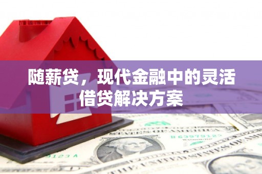 龟山随薪贷，现代金融中的灵活借贷解决方案