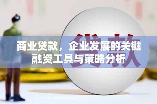 龟山商业贷款，企业发展的关键融资工具与策略分析