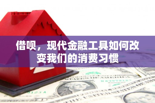 龟山借呗，现代金融工具如何改变我们的消费习惯