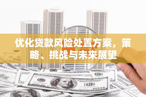 龟山优化贷款风险处置方案，策略、挑战与未来展望