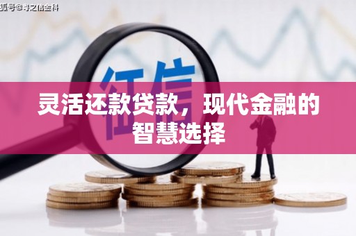 龟山灵活还款贷款，现代金融的智慧选择