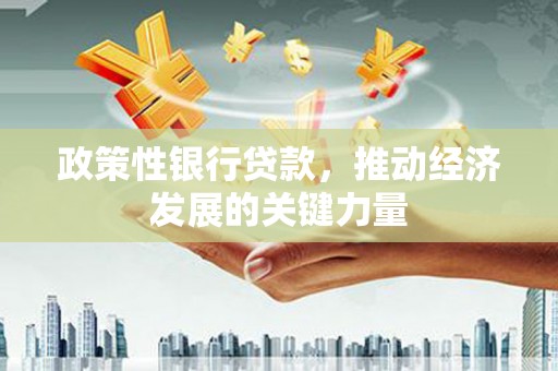 龟山政策性银行贷款，推动经济发展的关键力量