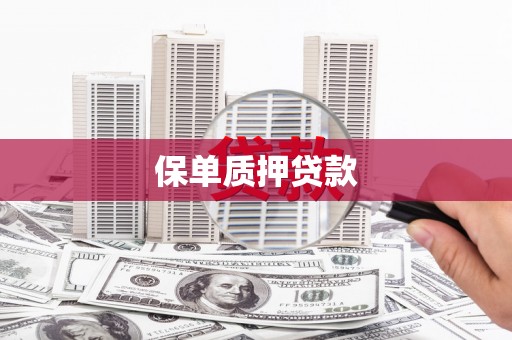 龟山保单质押贷款