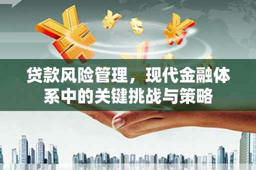 龟山贷款风险管理，现代金融体系中的关键挑战与策略