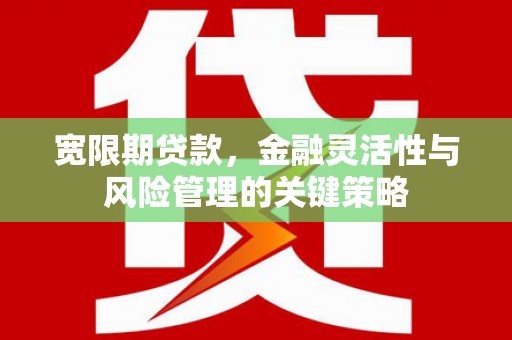龟山宽限期贷款，金融灵活性与风险管理的关键策略