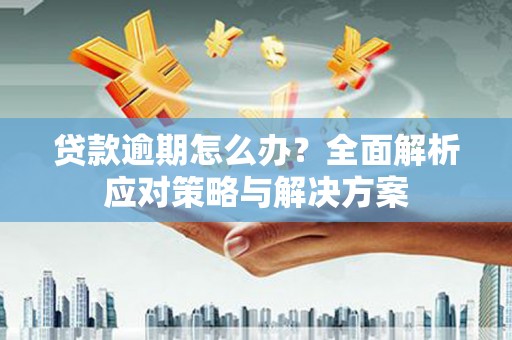 龟山贷款逾期怎么办？全面解析应对策略与解决方案