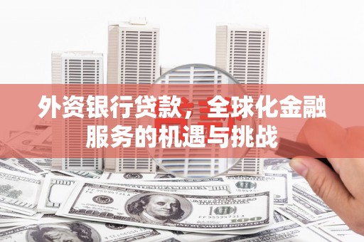 龟山外资银行贷款，全球化金融服务的机遇与挑战
