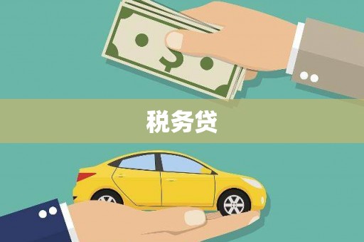 龟山税务贷