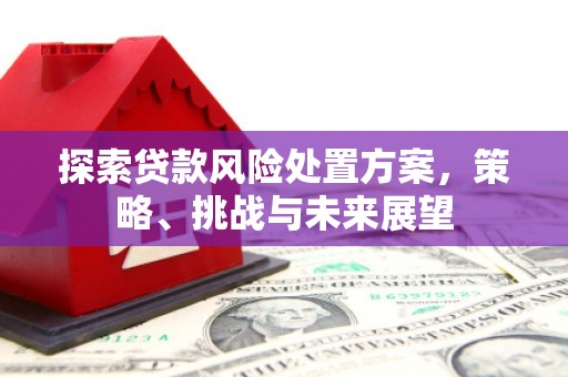 龟山探索贷款风险处置方案，策略、挑战与未来展望