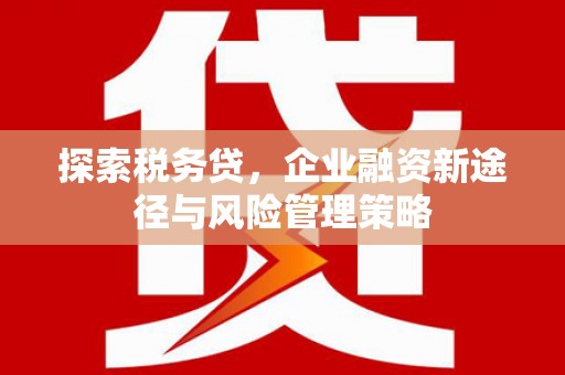 龟山探索税务贷，企业融资新途径与风险管理策略
