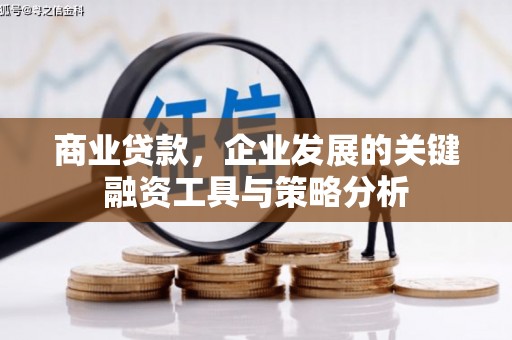 龟山商业贷款，企业发展的关键融资工具与策略分析
