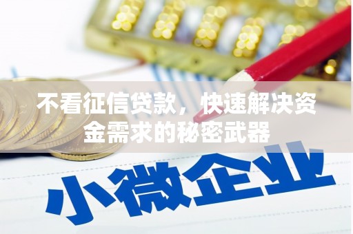 龟山不看征信贷款，快速解决资金需求的秘密武器