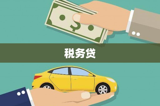 龟山税务贷