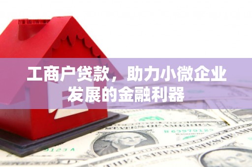 龟山工商户贷款，助力小微企业发展的金融利器