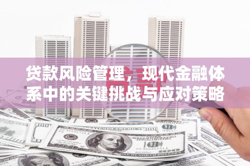 龟山贷款风险管理，现代金融体系中的关键挑战与应对策略