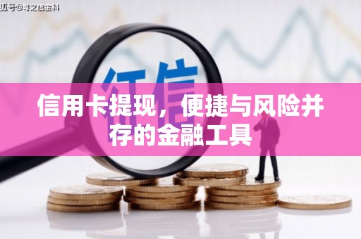 龟山信用卡提现，便捷与风险并存的金融工具