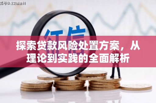 龟山探索贷款风险处置方案，从理论到实践的全面解析