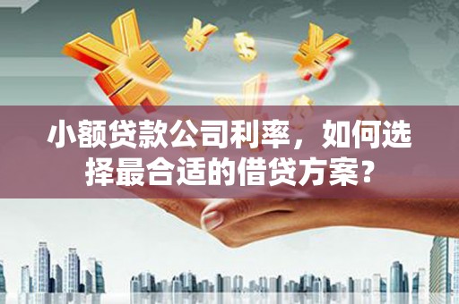 龟山小额贷款公司利率，如何选择最合适的借贷方案？