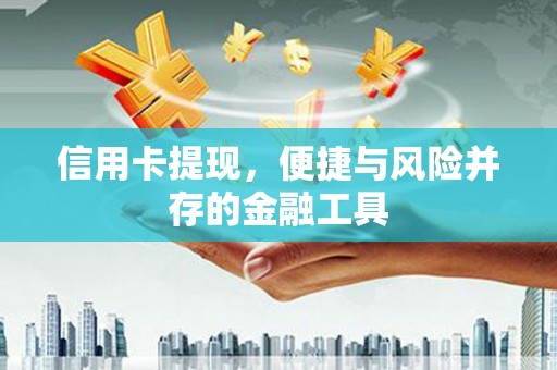 龟山信用卡提现，便捷与风险并存的金融工具