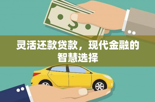 龟山灵活还款贷款，现代金融的智慧选择