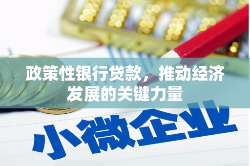 龟山政策性银行贷款，推动经济发展的关键力量