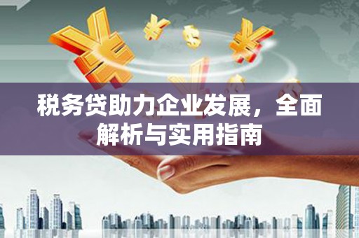 龟山税务贷助力企业发展，全面解析与实用指南
