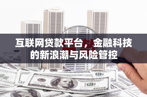 龟山互联网贷款平台，金融科技的新浪潮与风险管控