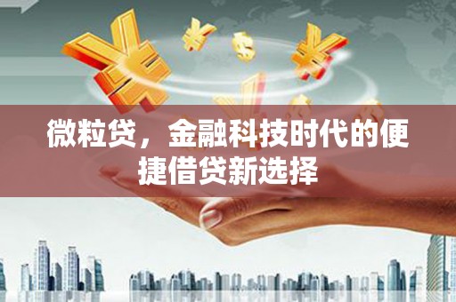 龟山微粒贷，金融科技时代的便捷借贷新选择