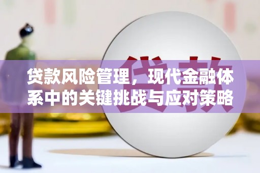 龟山贷款风险管理，现代金融体系中的关键挑战与应对策略