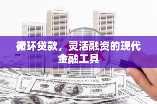 龟山循环贷款，灵活融资的现代金融工具