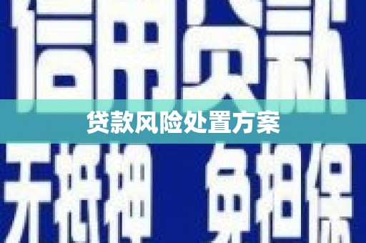 龟山贷款风险处置方案